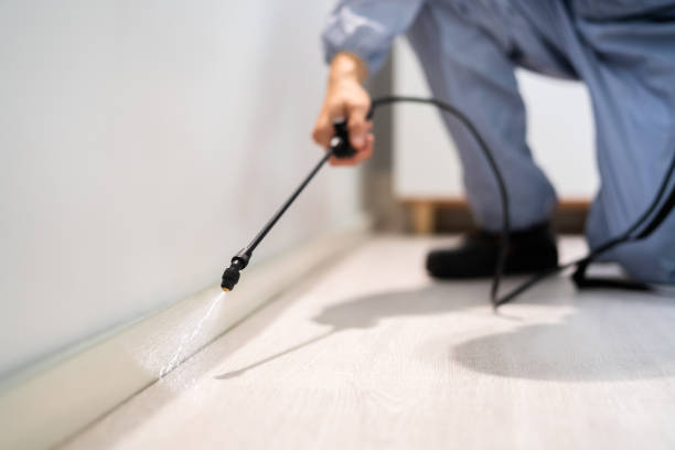 Licensed Pest Control service in Abingdon, VA - Show Me Pest Control