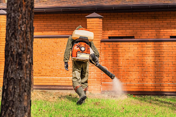 Bed Bug Clearance Verification and Documentation in Abingdon